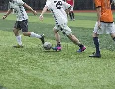 台媒透露汪,小菲大,关系紧张,凤凰彩票,凤凰彩票官网,凤凰彩票Phoenix,Lottery官网