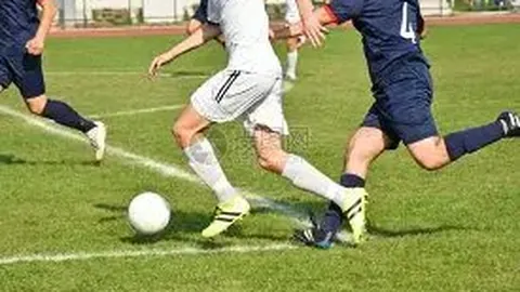 凤凰彩票 产品 142525 mnh