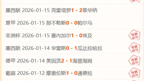 CBA战火连天，辽粤京鲁疆生死抢位战局势解析：格局波澜壮阔