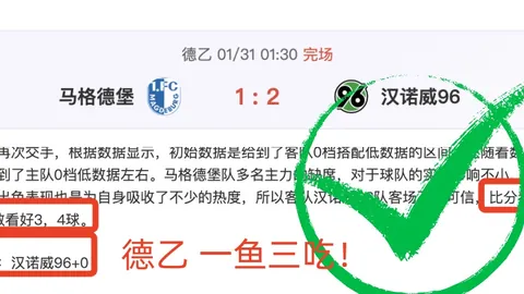 2025赛季助攻榜出炉：格雷罗独占鳌头，特罗萨德紧追不舍，丁丁K77同列榜单！