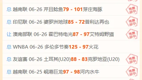 2026赛季前瞻：博塔弗戈的无为哲学深度剖析